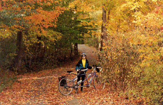 Dorothy With Bike In Trees