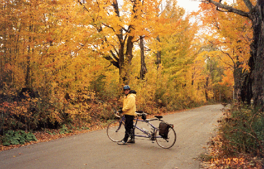 John On Bike In Trees