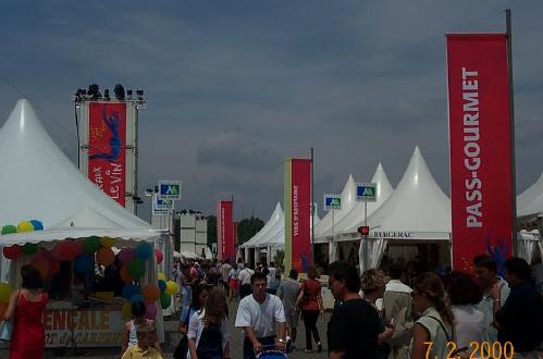 Wine Festival